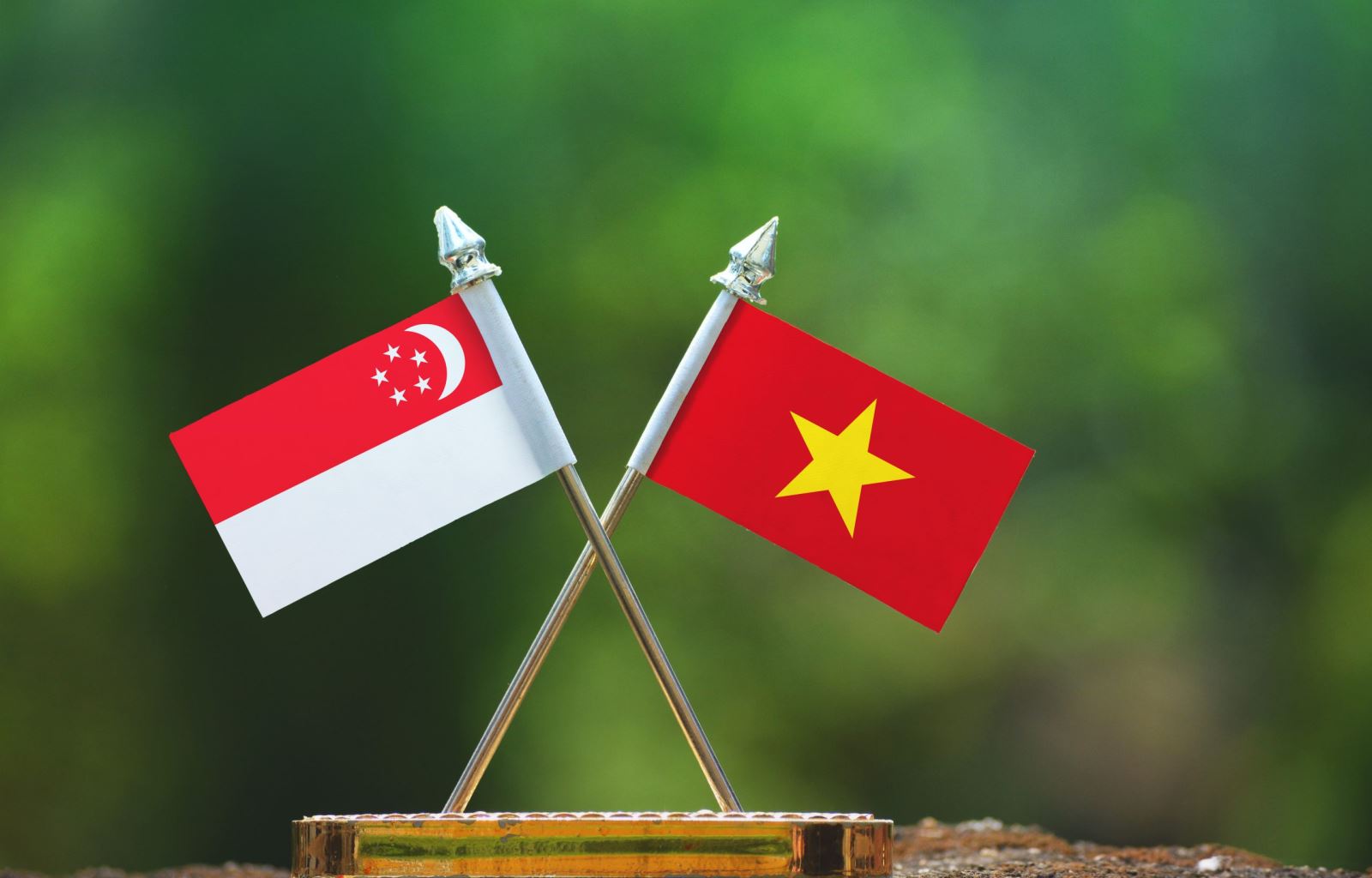 Một số lưu ý quan trọng khi thành lập công ty vốn Singapore tại Việt Nam